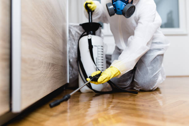 Best Best Pest Control Companies  in Dover, NJ