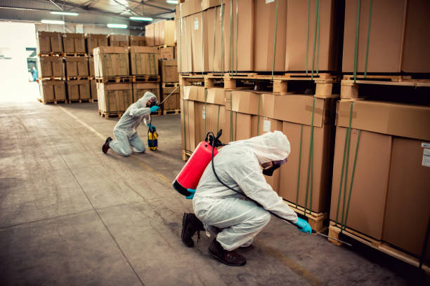 Best Best Pest Control Companies  in Dover, NJ