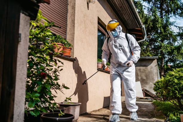 Best Local Pest Control Services  in Dover, NJ